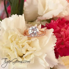 2 ct 4 Prong Stacking Solitaire Set - Rose GP, 50% Final Sale