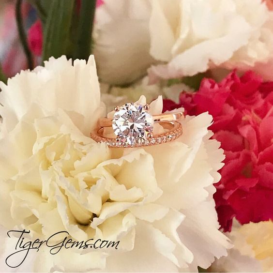 3 ct 4 Prong Solitaire Engagement Ring - Rose Gold – Tiger Gems